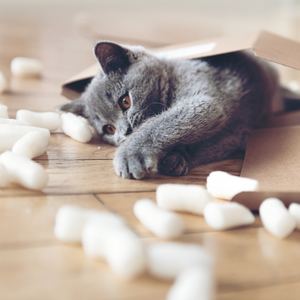 9 Reasons You Should Switch to Biodegradable Packing Peanuts